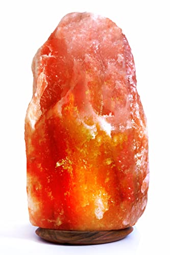 AGT Salzwelten Rosa KristallSalzlampe Salzleuchte Naturform 2-29 Kg inklusive Salzlampenfassung E14+ 2x Birne (26-29 Kg) von AGT Salzwelten