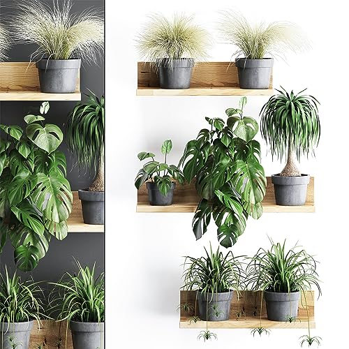 AIBAOBAO 3D Grüne Pflanze Wandtattoo, Entfernbarer PVC Bonsai Wandaufkleber, Grüne Pflanze Aufkleber Hintergrund Wanddekoration, wandtattoo pflanzen für Wohnzimmer, Schlafzimmer, Pflegeheim von AIBAOBAO