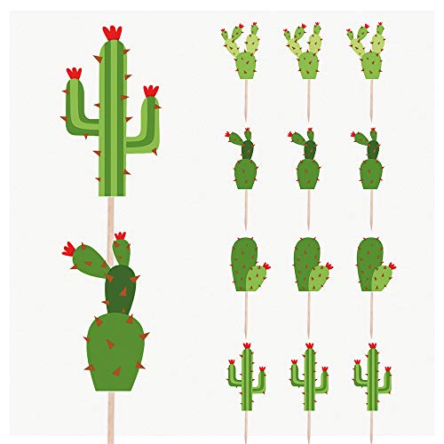 Kaktus-Pflanzen-Mix für Geburtstagsparty, Essen, Cupcakes, Dekorationen (14 Stück) von AK Giftshop