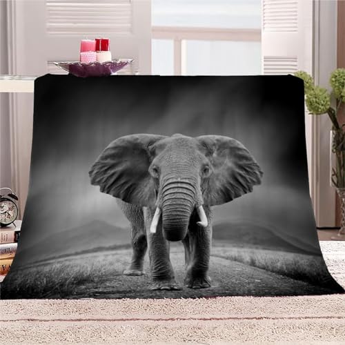 AKATIE Decke Elefant Kuscheldecke 200x200 Winter Sommer Kuscheldecke Grauer Afrikanischer Elefant Bett Wohndecke Sofaüberwurf Decke Tagesdecke Weiche Mikrofaser Flanelldecke von AKATIE