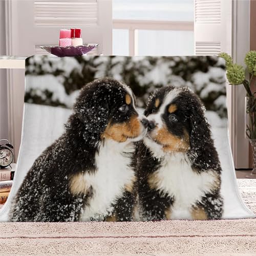 AKATIE Kuscheldecke 150x200 Berner Sennenhund Flanelldecke 3D Drucken Kuscheldecke Hund Tier Winterschnee Super Soft Wohndecke Flauschige Decke Mikrofaser Sofadecke Bettüberwurf von AKATIE