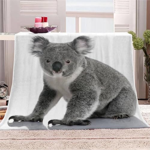 AKATIE Kuscheldecke 150x200 Koala Flanelldecke 3D Drucken Kuscheldecke Süßer Koala Super Soft Wohndecke Flauschige Decke Mikrofaser Sofadecke Bettüberwurf von AKATIE