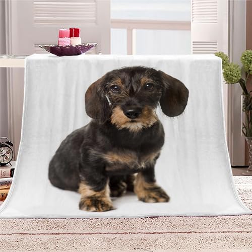 AKATIE Kuscheldecke Dackel 3D-Druck Kinder Sofadecke Flanelldecke Hund Tier Weiß Couchdecke Flauschige Wohndecke 130x150 cm Reisedecke Sofaüberwurf Decke von AKATIE