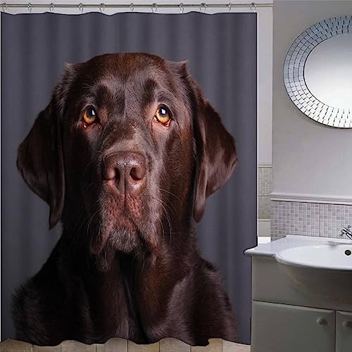 AKATIE Labrador Retriever Duschvorhang 180x200 Hund Tier Schwarz Bad Vorhäng Anti-Schimmel Textil Anti-Bakteriel 3D Wasserdicht Duschvorhänge Badewanne mit 12 Hooks von AKATIE