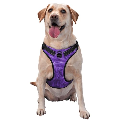 Haustier-Traktionsweste, Brustgurt, Geschirr, für den Außenbereich, mit dem Hund, Violett von ALLiYa