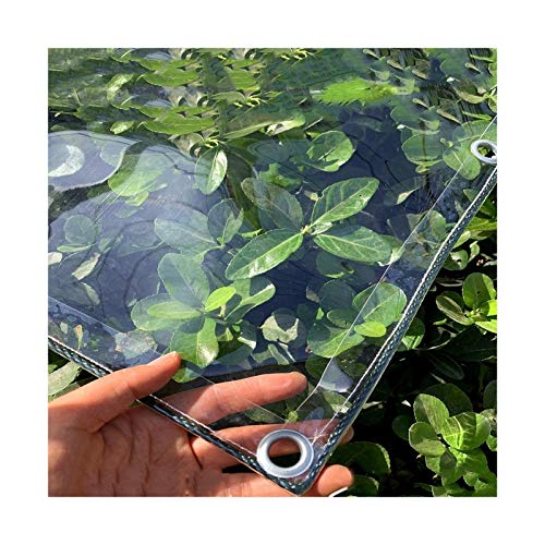 Abdeckplane Transparente mit Ösen, 0,3mm Klare wasserdichte PVC Plane, Vielseitige Gemüseabdeckung für Pavillons Pavillon Terrassen Windschutz (Size : 2.4x3m) von AMSXNOO