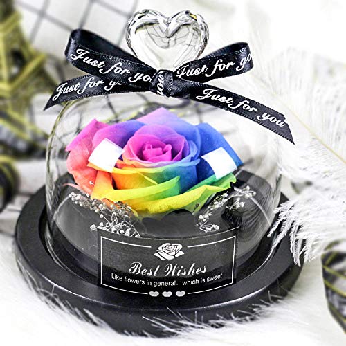 Die Schöne und das Biest Rose Ewige Rose Künstliche Rose Blumen Konservierte Rose Glaskuppel Künstlich Rose Lampe Geschenk für Geburtstag, Hochzeit, Valentinstag, Muttertag (Bunt) von ANGANGAN