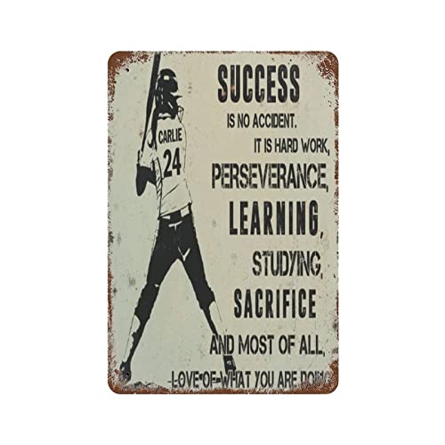 Softball Success Is No Accident It Comes From Studying Hard Work Blechschild, Wanddekoration, lustiges inspirierendes Zitat, Wandkunst, Vintage-Blechschilder für Zuhause, Kaffee, Bar, Mann, Höhle, Sch von AOOEDM