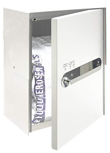ARREGUI Bigpack EP2001 Paketkasten aus Stahl für große Briefkasten für Päckchen und Pakete | 46 x 35,5 x y 23,5 cm | Weiß von ARREGUI