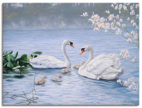 ARTland Leinwandbilder Wandbild Bild auf Leinwand 60x45 cm Wanddeko Schwan Tiere Vögel Schwanfamilie Natur See Landschaft Malerei Kunst B0PE von ARTLAND