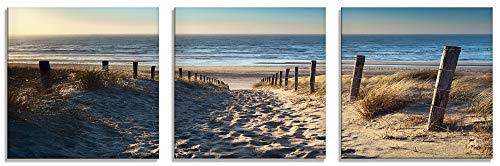 ARTland Glasbilder Wandbild Glas Bild Set 3 teilig je 40x40 cm Quadratisch Strand Meer Küste Nordsee Natur Sommer Dünen Sand Gräser T9IP von ARTLAND