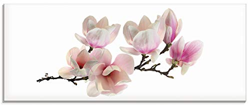 ARTland Glasbilder Wandbild Glas Bild einteilig 125x50 cm Querformat Natur Asien Botanik Blumen Blüten Magnolie Rosa S6DR von ARTLAND