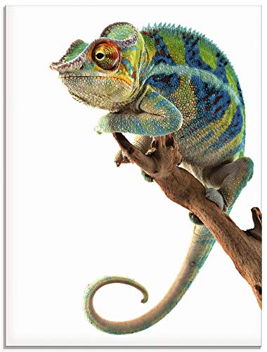 ARTland Glasbilder Wandbild Glas Bild einteilig 45x60 cm Hochformat Natur Afrika Tiere Reptilien Madagaskar Chamäleon T5RW von ARTLAND