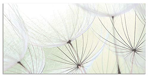 ARTland Spritzschutz Küche aus Alu für Herd Spüle 110x55 cm (BxH) Küchenrückwand mit Motiv Blume Pusteblume Landschaft Natur Zen Modern Hell Grün S9MV von ARTLAND