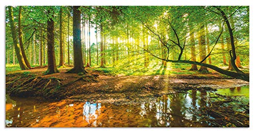 ARTland Spritzschutz Küche aus Alu für Herd Spüle 110x55 cm (BxH) Küchenrückwand mit Motiv Natur Landschaft Wald Bäume Sonne Bach Landhaus Grün T9IO von ARTLAND