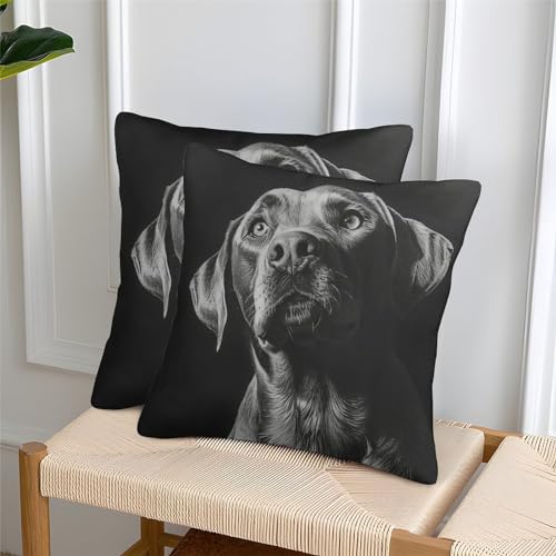 ARTSDIYS Labrador Tier Kissenbezüge Für Sofa Und Bett, Haustier Kissenbezug 2er Set, Geeignet Für Home Decor Und Travel Essential, Maschinenwaschbar 45x45cm von ARTSDIYS