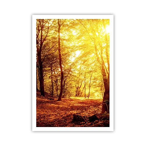 Poster ohne Rahmen Deko 70x100cm Wald Baum Natur Wandposter Art Prints Wanddeko Bild Wand Kunstdruck Wandbilder Dekoration Wohnzimmer Schlafzimmer Küche Modern Wall Art Decor - P2XPA70x100-3722 von ARTTOR