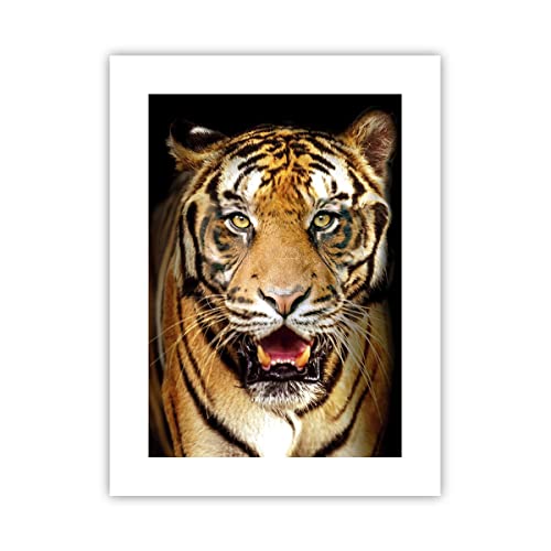 ARTTOR Poster ohne Rahmen tiger tier Deko 30x40cm Wandposter Art Prints Wandbilder Dekoration Wohnzimmer Schlafzimmer Küche Wanddeko Bild Wand Kunstdruck Modern Wall Art Decor - P2XPA30x40-4103 von ARTTOR