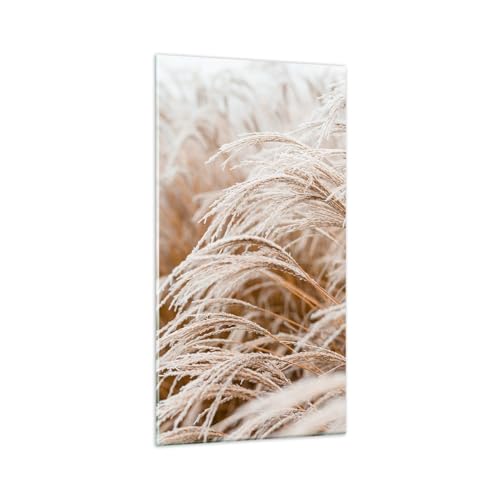 ARTTOR Wandbilder Dekoration Wohnzimmer Gras Natur Frost Bilder auf Glas 65x120cm Glasbild Schlafzimmer Küche Deko Wand Kunstdruck Art Groß XXL Wanddeko Bild im Glas Modern Wall Decor GPA65x120-5186 von ARTTOR