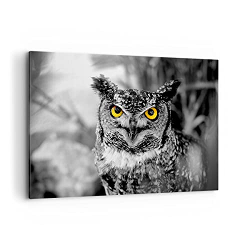 Bilder auf Leinwand 100x70cm Leinwandbild mit Rahmen Eule Vogel Natur Groß Wanddeko Bild Schlafzimmer Küche Deko Wandbilder Dekoration Wohnzimmer Wall Decor Canvas Wand Kunstdruck Art AA100x70-1318 von ARTTOR