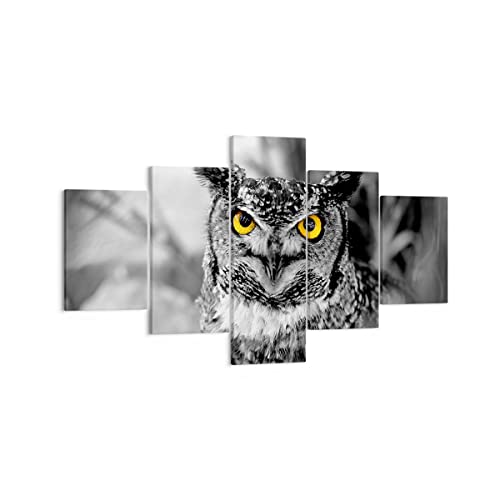 Mehrteilige Bilder auf Leinwand Eule Vogel Natur Leinwandbild 125x70cm Wandbilder Dekoration Wohnzimmer Schlafzimmer Set 5 teilige Klein Wanddeko Bild Wand Kunstdruck Art Decor Canvas EA125x70-1318 von ARTTOR