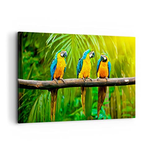 Wandbilder Dekoration Wohnzimmer Papageien Collorful Natur Vögel Bilder auf Leinwand 120x80cm Leinwandbild Schlafzimmer Deko Wand Kunstdruck Art Groß XXL Wanddeko Bild Wall Decor Canvas AA120x80-2696 von ARTTOR