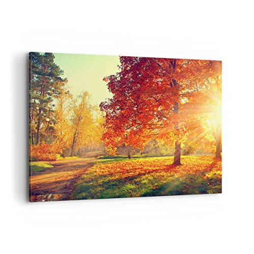 Bilder auf Leinwand 100x70cm Leinwandbild mit Rahmen Park Herbst Baum Groß Wanddeko Bild Schlafzimmer Küche Deko Wandbilder Dekoration Wohnzimmer Wall Decor Canvas Wand Kunstdruck Art AA100x70-3654 von ARTTOR