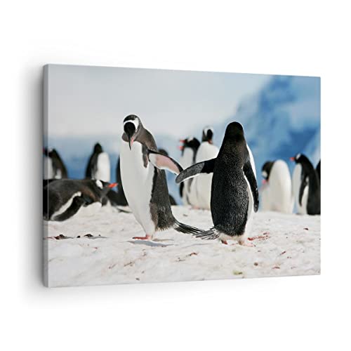 Bilder auf Leinwand Pinguine Winter Natur Schnee Leinwandbild 70x50cm Wandbilder Dekoration Wohnzimmer Schlafzimmer Küche Deko Klein Wanddeko Bild Wand Kunstdruck Art Wall Decor Canvas AA70x50-2974 von ARTTOR