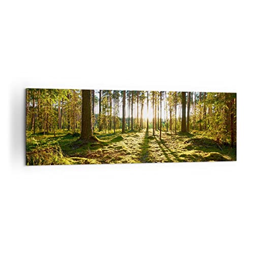 Panorama Bilder auf Leinwand 160x50cm Leinwandbild Wald Baum Natur Groß XXL Wanddeko Bild Schlafzimmer Küche Wandbilder Dekoration Wohnzimmer Wall Decor Canvas Wand Kunstdruck Art AB160x50-3724 von ARTTOR