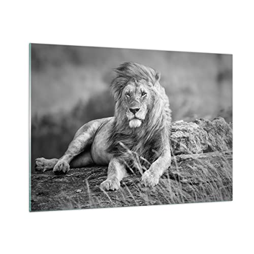 Bilder auf Glas 100x70cm Glasbild Löwe Tier Natur Groß Wanddeko Bild im Glas Schlafzimmer Küche Deko Wandbilder Dekoration Wohnzimmer Modern Wall Decor Glasdruck Wand Kunstdruck Art GAA100x70-3931 von ARTTOR