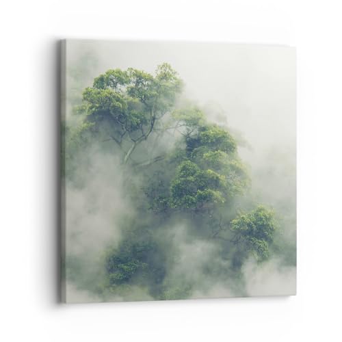 Bilder auf Leinwand Wald Nebel Natur Leinwandbild mit Rahmen 30x30cm Wandbilder Dekoration Wohnzimmer Schlafzimmer Küche Deko Klein Wanddeko Bild Wand Kunstdruck Art Wall Decor Canvas AC30x30-5267 von ARTTOR