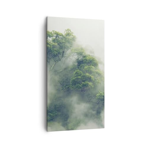 Bilder auf Leinwand Wald Nebel Natur Leinwandbild mit Rahmen 45x80cm Wandbilder Dekoration Wohnzimmer Schlafzimmer Küche Deko Klein Wanddeko Bild Wand Kunstdruck Art Wall Decor Canvas PA45x80-5267 von ARTTOR