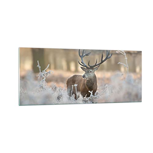 Panorama Bilder auf Glas 100x40cm Glasbild Hirsch Wald Natur Groß Wanddeko Bild im Glas Schlafzimmer Küche Wandbilder Dekoration Wohnzimmer Modern Wall Decor Wand Kunstdruck Art GAB100x40-3744 von ARTTOR