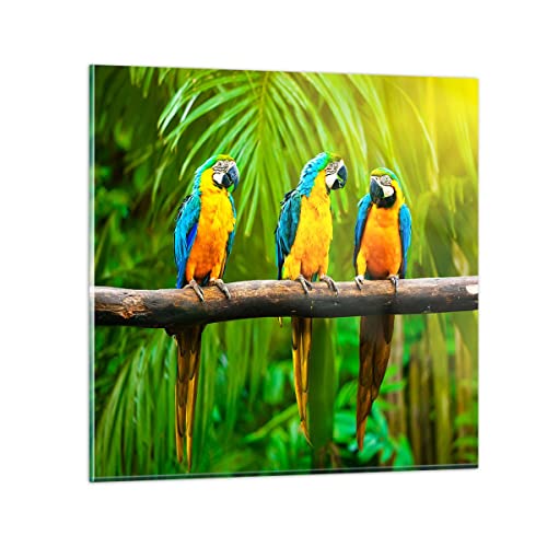 ARTTOR Wandbilder Dekoration Wohnzimmer Papageien Collorful Natur Vögel Bilder auf Glas 50x50cm Glasbild Schlafzimmer Küche Deko Wand Kunstdruck Art Klein Wanddeko Bild im Glas Modern GAC50x50-2696 von ARTTOR