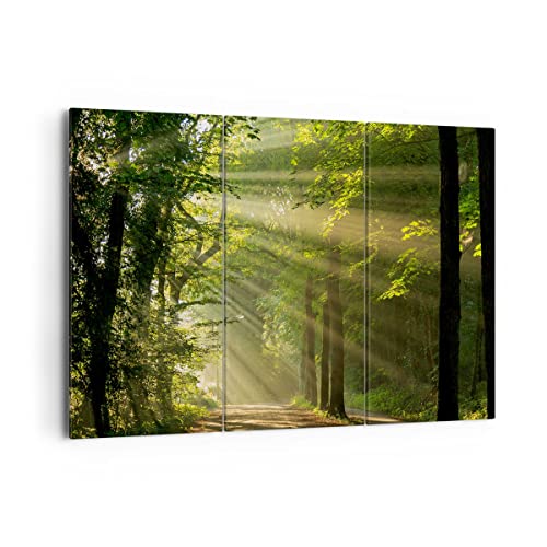 Mehrteilige Bilder auf Leinwand 165x110cm Leinwandbild Wald Baum Natur Groß XXL Wanddeko Bild Schlafzimmer Set 3 teilige Wandbilder Dekoration Wohnzimmer Canvas Wand Kunstdruck Art CE165x110-3661 von ARTTOR