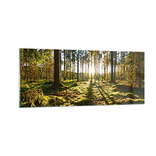 Panorama Bilder auf Glas 100x40cm Glasbild Wald Baum Natur Groß Wanddeko Bild im Glas Schlafzimmer Küche Wandbilder Dekoration Wohnzimmer Modern Wall Decor Glasdruck Wand Kunstdruck Art GAB100x40-3724 von ARTTOR