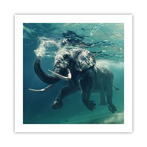 Poster ohne Rahmen Deko 50x50cm Elefant Tier Wasser Wandposter Art Prints Wanddeko Bild Wand Kunstdruck Wandbilder Dekoration Wohnzimmer Schlafzimmer Küche Modern Wall Art Decor P2XAC50x50-3944 von ARTTOR