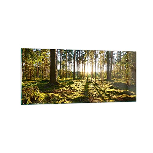 Wandbilder Dekoration Wohnzimmer Wald Baum Natur Panorama Bilder auf Glas 120x50cm Glasbild Schlafzimmer Küche Wand Kunstdruck Art Groß Wanddeko Bild im Glas Modern Wall Decor Glasdruck GAB120x50-3724 von ARTTOR