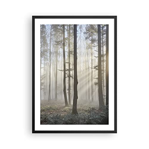 Wandposter Art Prints 50x70cm Poster Schwarzrahmen Wald Baum Natur Küche Wanddeko Bild Wand Kunstdruck Deko Wandbilder Dekoration Wohnzimmer Schlafzimmer Modern Wall Art Decor - P2BPA50x70-3749 von ARTTOR