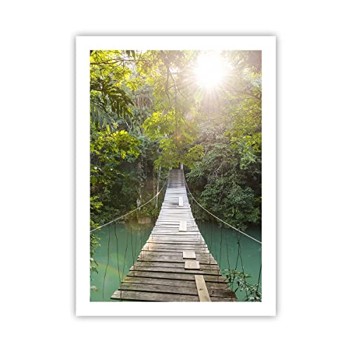 Wandposter Art Prints 50x70cm Poster ohne Rahmen Brücke Seil Dschungel Küche Wanddeko Bild Wand Kunstdruck Deko Wandbilder Dekoration Wohnzimmer Schlafzimmer Modern Wall Art Decor - P2XPA50x70-4397 von ARTTOR