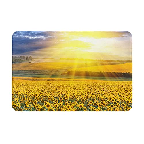 ASEELO 40 x 60 cm Fußmatte Golden Sonnenblume Eingangsteppich Schmutzfänger für drinnen und draußen rutschfest Teppich Barrierematte von ASEELO