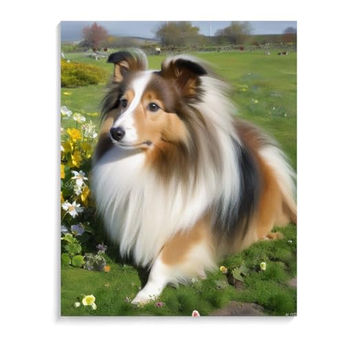 5D Diamant Malerei Kit Shetland Schäferhund Full Drill Kristall Strass DIY Diamond Painting mit Diamond Painting für Wand Dekoration und Geschenk 30 x 40 cm (12 x 16 Zoll) Rahmenlos von ASSKQMY