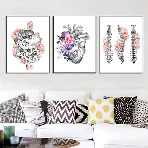 AWKFHF Anatomisches Organ Bilder,Herz Lunge Menschliche Anatomie Leinwandbild Poster Kunstdruck Wohnzimmer Deko Schlafzimmer Bilder Wanddekoration - ohne Rahmen (3X30X40CM,ohne Rahmen) von AWKFHF