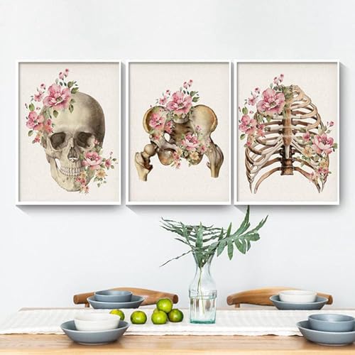 AWKFHF Blumen Skelett Anatomie Bilder,Medizinische Leinwandbild Poster Kunstdruck Klinik Krankenhaus Deko Bilder Wanddekoration - ohne Rahmen (3X30X40CM,ohne Rahmen) von AWKFHF