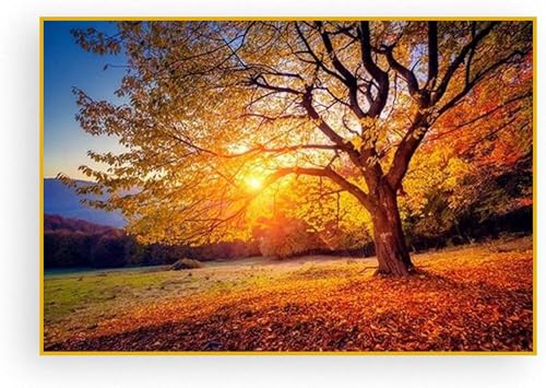 AWKFHF Gold Sonnenuntergang Baum Herbst Bilder,Leinwandbild Poster Kunstdruck Wohnzimmer Deko Schlafzimmer Bilder Wanddekoration (80X120CM,ohne Rahmen) von AWKFHF