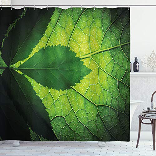 ABAKUHAUS Blätter Duschvorhang, Brazilian Baum Blatt Eco, Stoffliches Gewebe Badezimmerdekorationsset mit Haken, 175 x 220 cm, Olive und Dunkelgrün von ABAKUHAUS