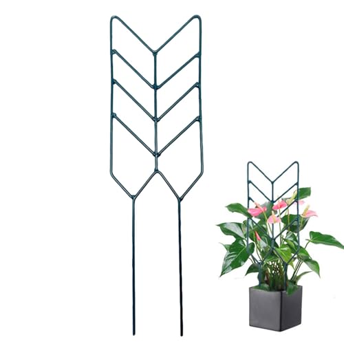 Aeutwekm Pflanzen-Rankgitter für Kletterpflanzen im Innenbereich, Metall-Topfpflanzenstütze – Metall-Topfpflanzenstütze, Mini-Gartenspalier für Pothos-Zimmerpflanzen, 30,5 cm von Aeutwekm