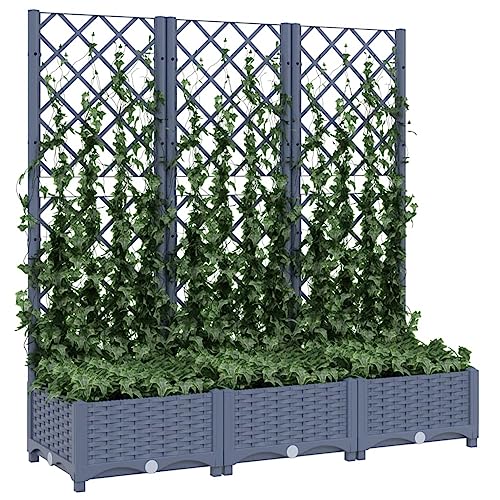 Ailgely Pflanzkübel mit Spalier Hochbeet mit Rankgitter XL Gartenspalier für Kletterpflanzen, Rankkasten für Garten Balkon Terrasse Hof, Dunkelgrau 120x40x136 cm PP von Ailgely