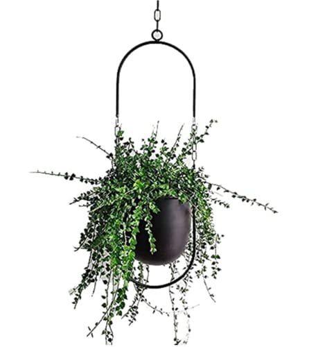 Ailovone Hängende Blumentöpfe Metall Hängend Blumenampel Für Pflanzen mit Haken und Kettenverlängerung Pflanzenampel für Innen Außen Wanddeko Moderne Pflanzenaufhänger (z2) von Ailovone