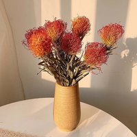 Getrocknete Leucospermum Blumen, Natürliches Cordifolium, Trockene Blumen Gesteck, Für Vasenfüller, Hausdekoration, Hochzeitsdekor von AimGoFloralDecor